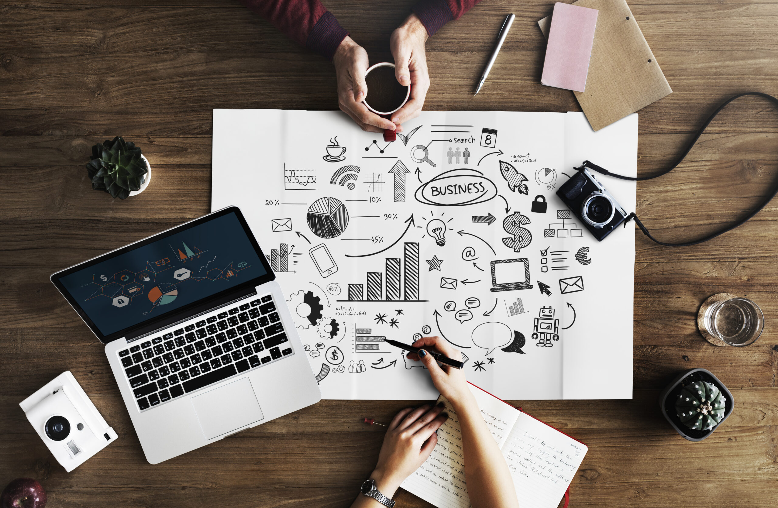 Affordable SEO services for startups in the USA.